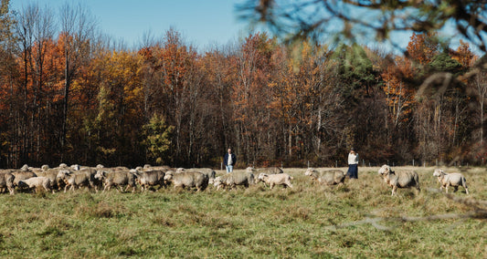 Why Most Merino Doesn’t Work the Way People Expect (and What Real American Wool Still Does)