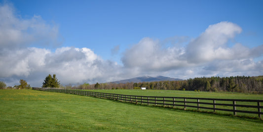 Private Wellness Retreat Pennsylvania: Exclusive Luxury Experiences at Fern Hall Estate & Woolery (2026 Guide)