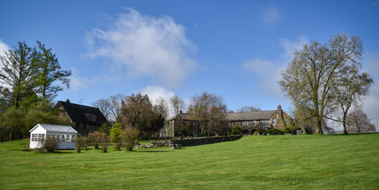 Discover the Ultimate Farm-to-Soul Retreat at Fern Hall Estate and Woolery