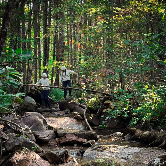 Two people hiking through a forest with a stream and rocks.